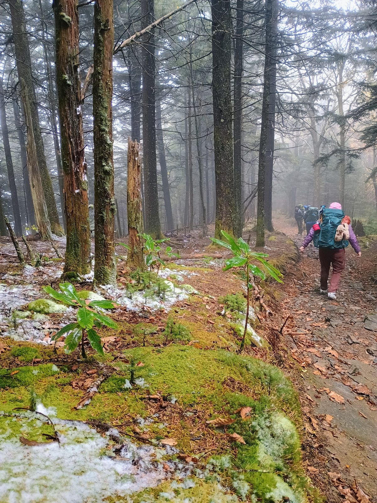 Students on the 2026 Women's Introduction to Backpacking course