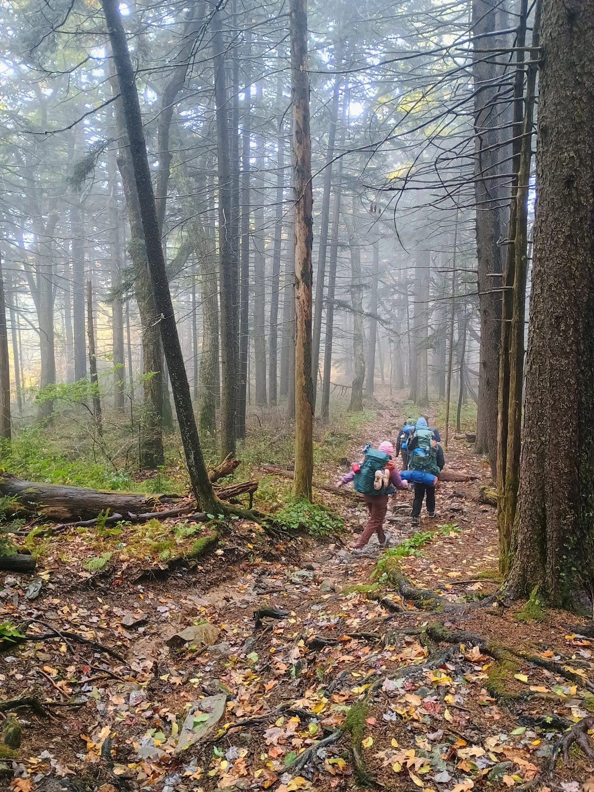 Students on the 2026 Women's Introduction to Backpacking course