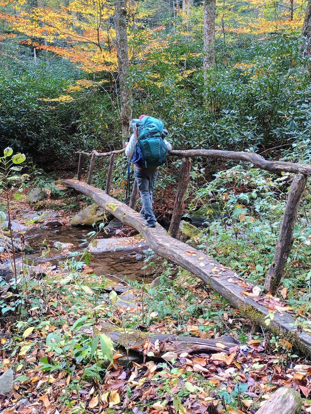Students on the 2026 Women's Introduction to Backpacking course