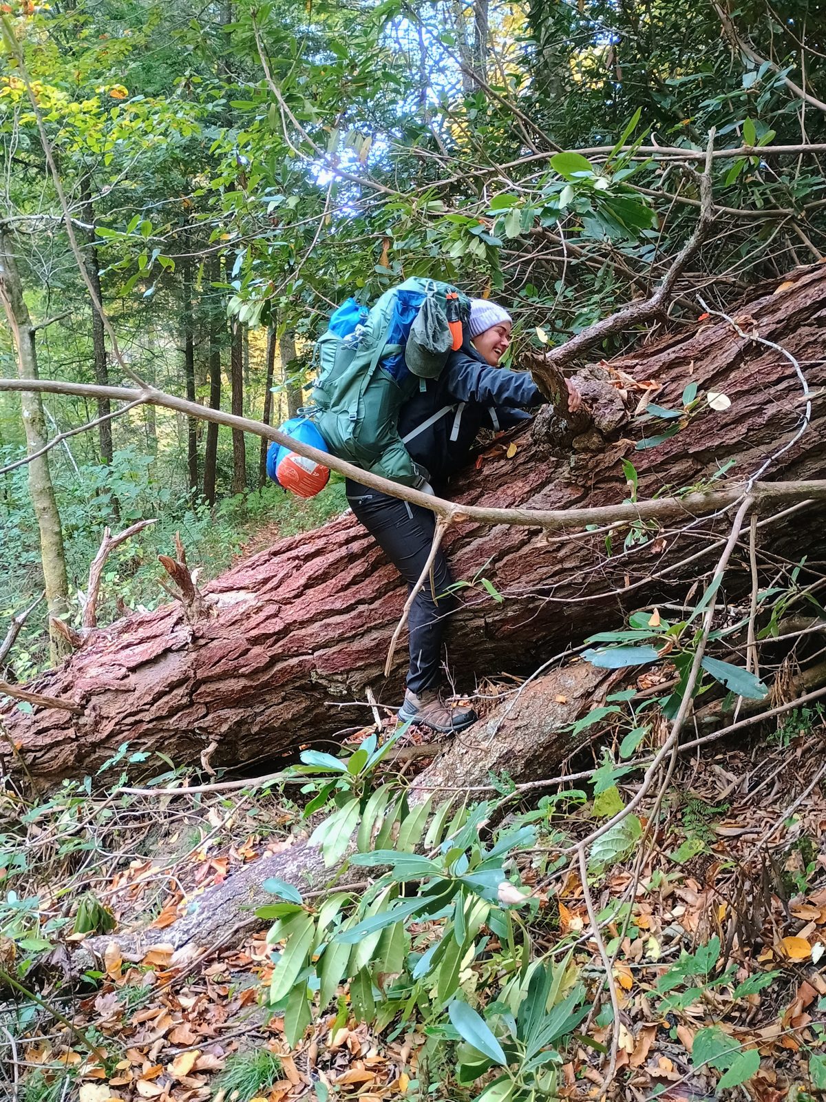 Students on the 2026 Women's Introduction to Backpacking course