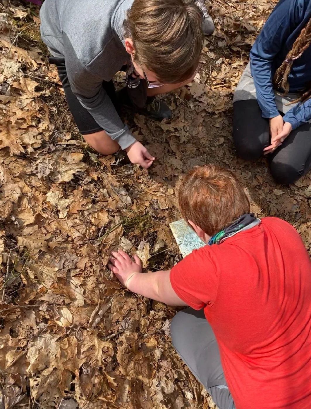 Group examining the ground in a wooded area, one person holding a map